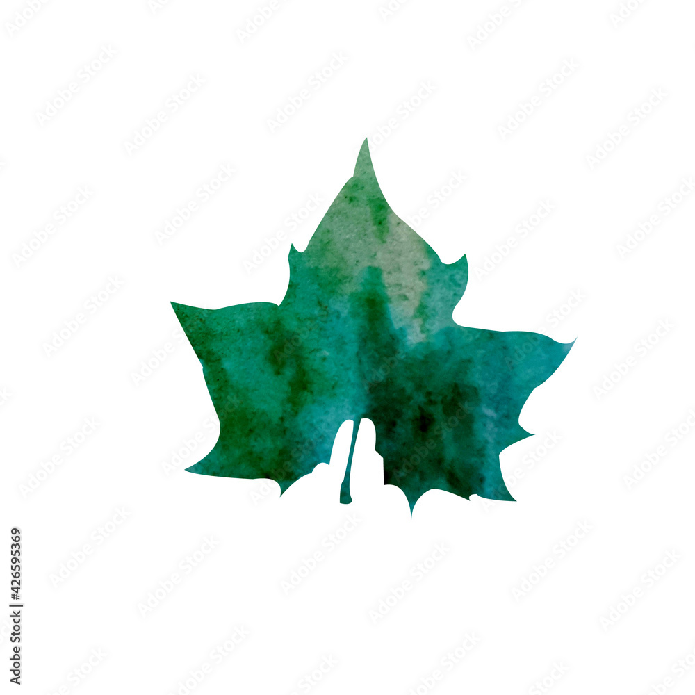 Fototapeta premium leaf nature color plant