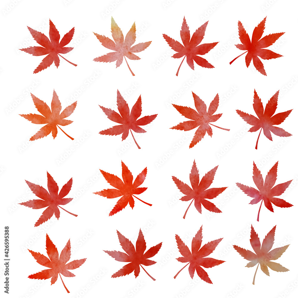 leaf nature color plant leaf nature color plant