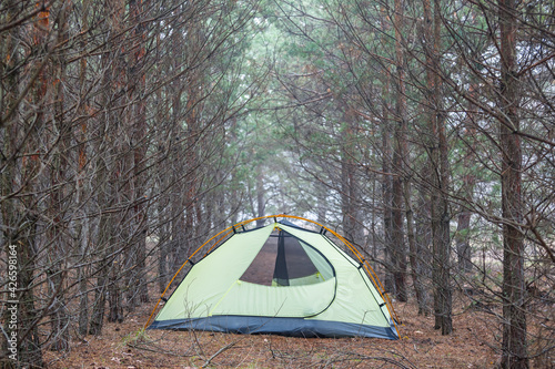 closeup touristic tent stay in forest glade
