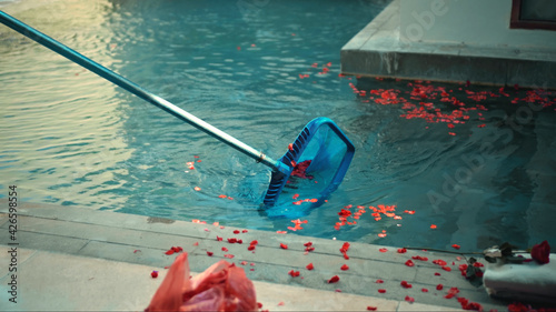 Cleanup swimming pool with blue water from red flower petals, tool with mesh on a long stick