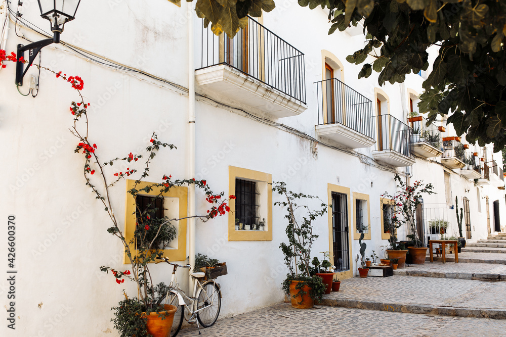 Fototapeta premium View of palm tree and white building against blue sky at the old town of Ibiza, Spain. Travel, mediterranean and vacation concept. Ibiza old town streets. 