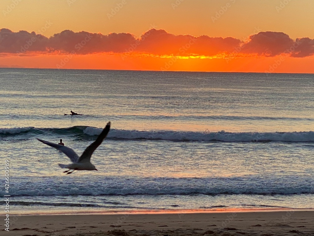 Fototapeta premium sunset on the beach