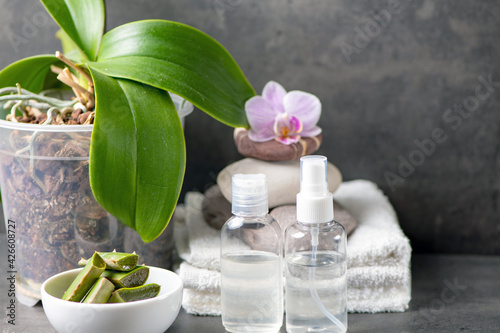 spa still life with towel, orchid and aloe