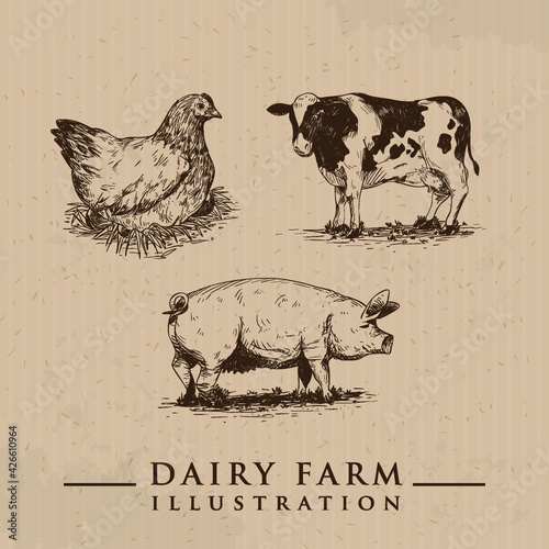 Illustration of the dairy farming, Vintage meat labels. Ideas for Farm Market and butcher shop
