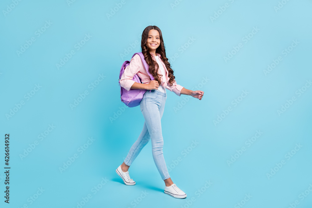 Full size photo of young happy smiling positive good mood girl wear backpack go to school isolated on blue color background - obrazy, fototapety, plakaty 