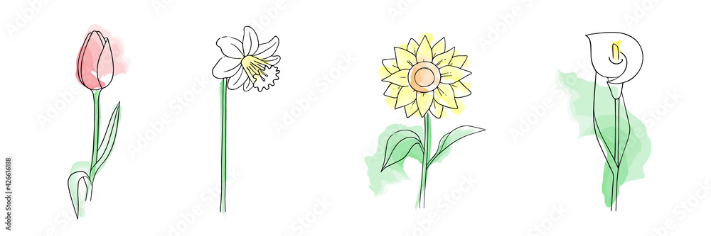 Hand-drawn flowers set.Narcissus, sunflower,tulip,calla lily. Simple botanical sketch collection, line, floral drawing,minimalism.Doodle style with imitation watercolor's brush strokes.Isolated Hand-drawn flowers set.Narcissus, sunflower,tulip,calla lily. Simple botanical sketch collection, line, floral drawing,minimalism.Doodle style with imitation watercolor's brush strokes.Isolated
