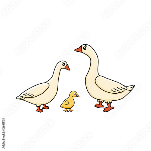 Vector cute outline doodle cartoon Goose Anser family. White male, female and yellow baby gosling. Isolated hand drawn illustration on white background, side view.