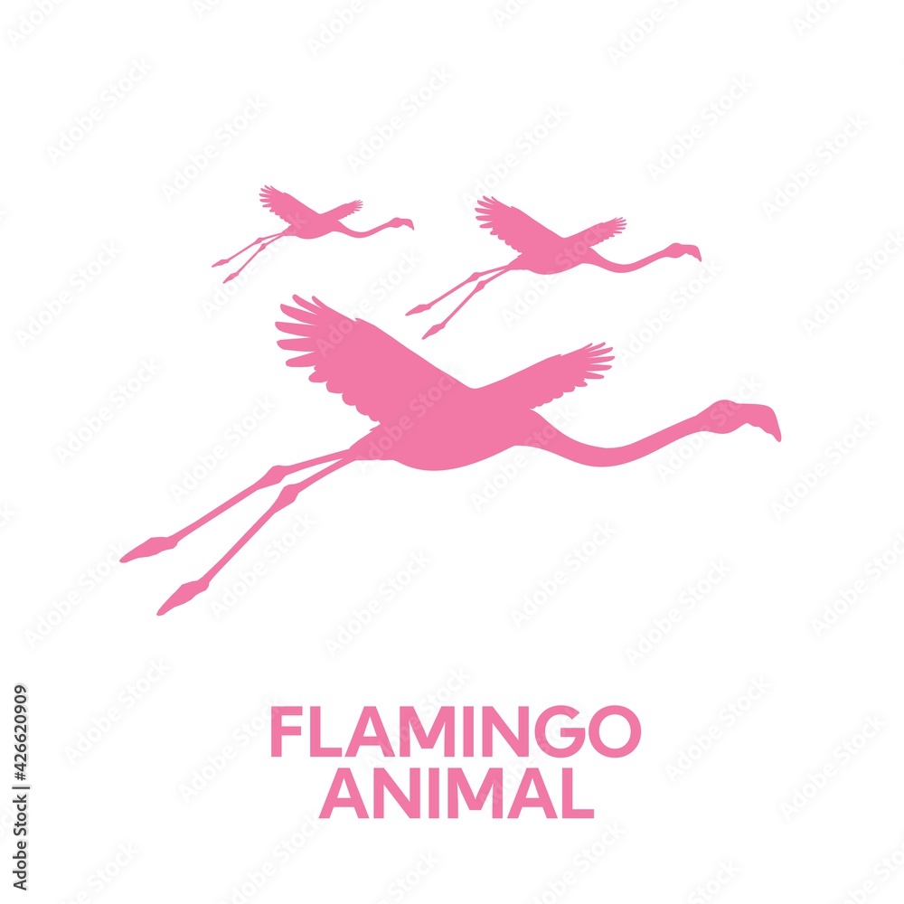 pink Flamingo bird tropical animal silhouette flat design style vector illustration pink Flamingo bird tropical animal silhouette flat design style vector illustration