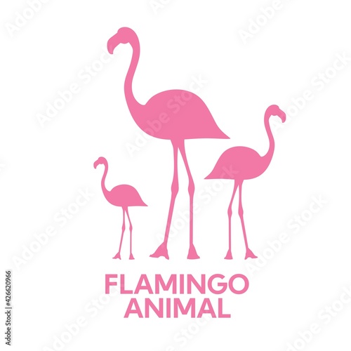 pink Flamingo bird tropical animal silhouette flat design style vector illustration