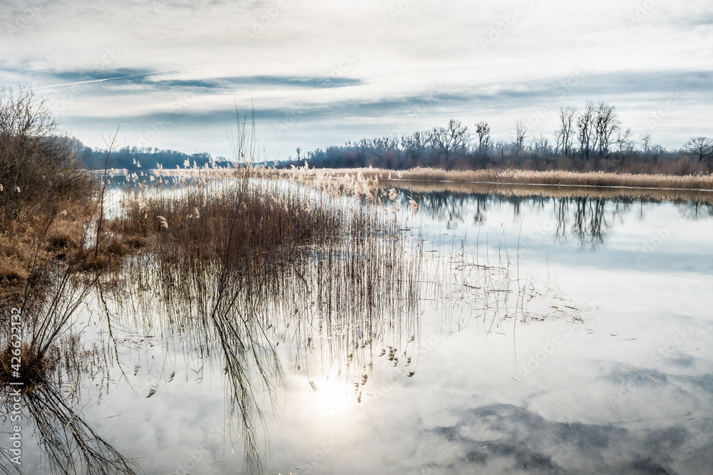 Scenic Landscape With Abandoned Meander In The National Park Danube Wetlands In Austria