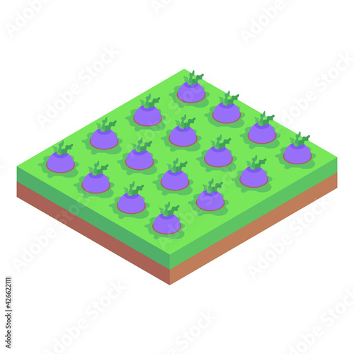 
An icon of farm fields isometric design 

