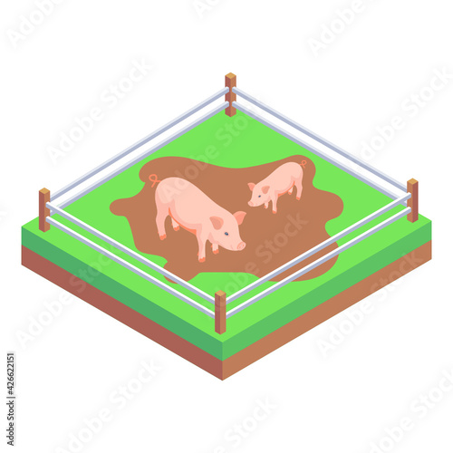 
Icon of pigs farming in an isometric design 

