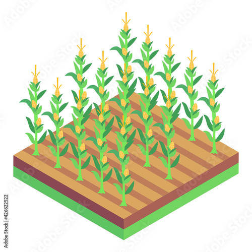 
An icon of farm fields isometric design 

