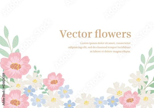 ピンクのアネモネ かわいいフラワーフレーム