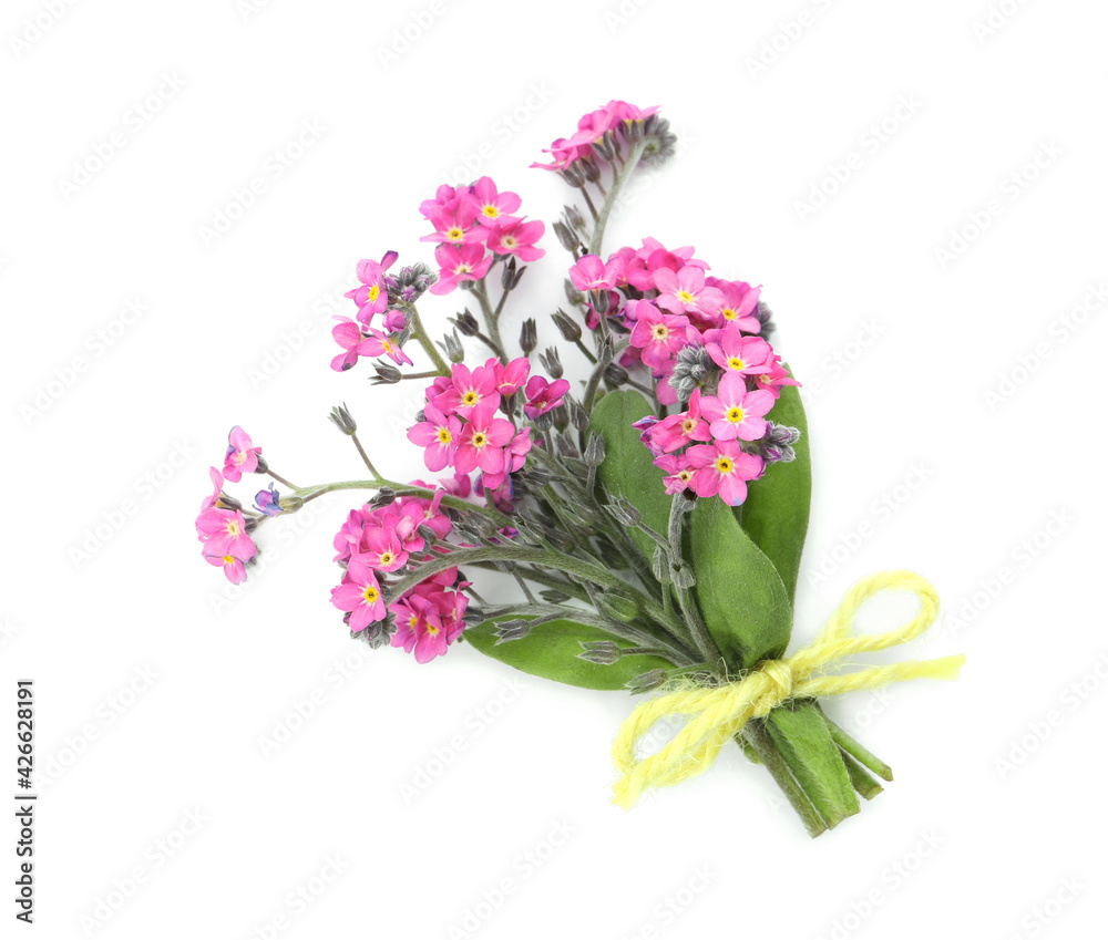 Bouquet of beautiful pink Forget-me-not flowers on white background, top view