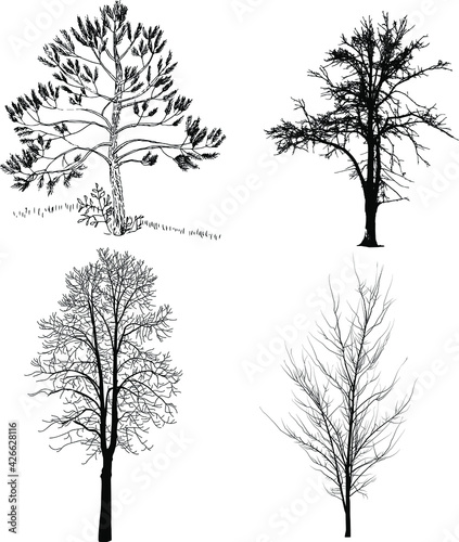 trees without leaves. Set Sketch of Dead Tree without Leaves .