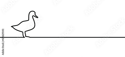 Wild duck line pattern. Animal bird, farm sign. Flat vector cartoon ducks. 