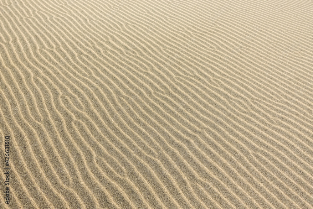 The texture of sand on a dune in the desert The texture of sand on a dune in the desert