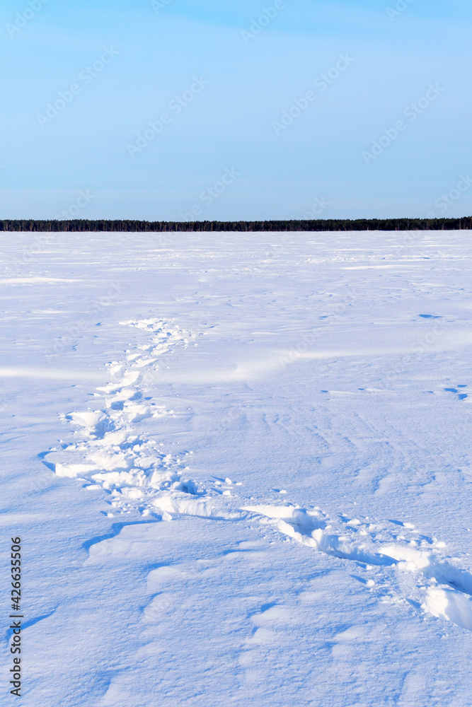 Road tracks on winter lake sunny landscape. space for copying text. Vertical photo