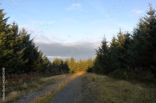 sunny track / road in the mountains
