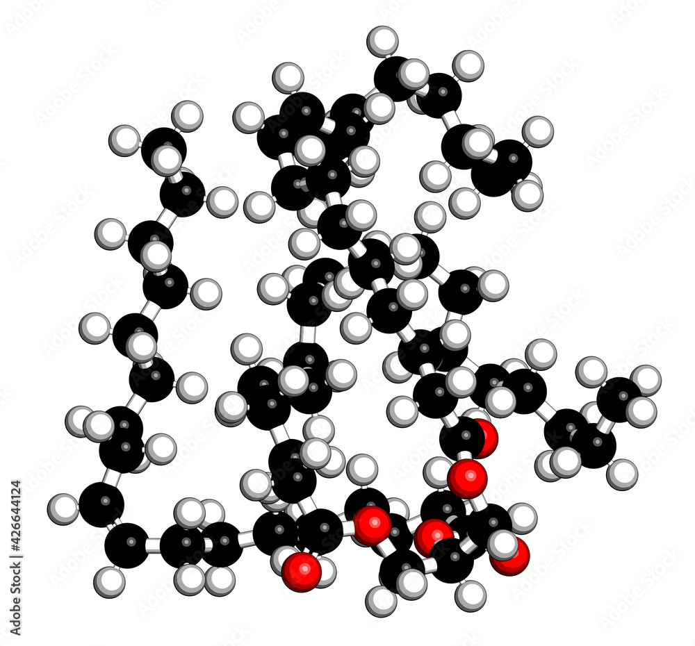Olive oil triglyceride. Example of an olive oil triglyceride, containing 3 oleic acid moieties (glyceryl trioleate). 3D rendering. Atoms are represented as spheres with conventional color coding Olive oil triglyceride. Example of an olive oil triglyceride, containing 3 oleic acid moieties (glyceryl trioleate). 3D rendering. Atoms are represented as spheres with conventional color coding