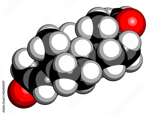 Progesterone female sex hormone molecule. Plays role in menstrual cycle and pregnancy. 3D rendering. Atoms are represented as spheres with conventional color coding