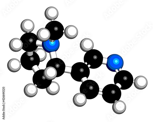 Nicotine tobacco stimulant molecule. Main addictive component in cigarette smoke. 3D rendering. Atoms are represented as spheres with conventional color coding