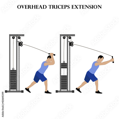 Overhead triceps extension exercise strength workout vector illustration
