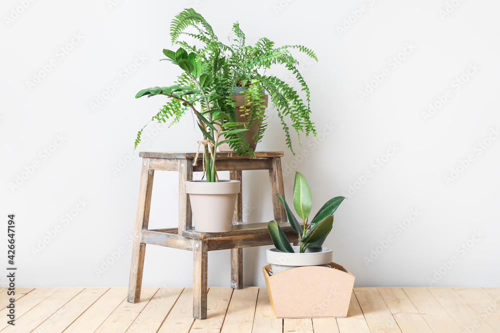 Wooden stand and pots with plants on light background - obrazy, fototapety, plakaty 