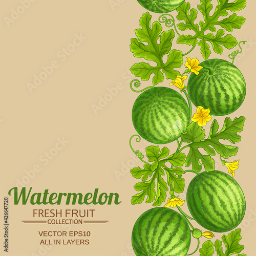 watermelon pattern on color background