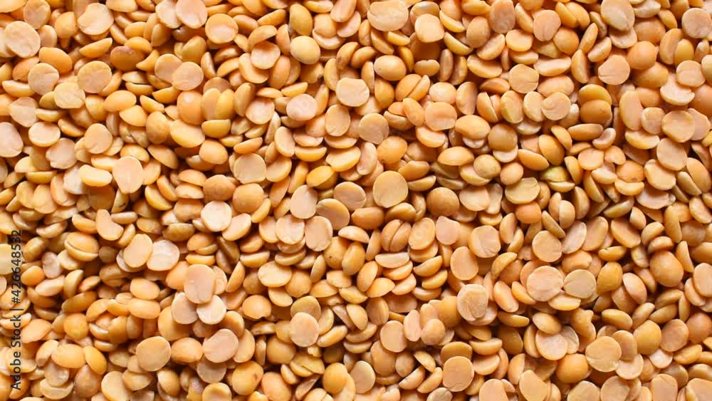 Yellow color raw dried split Pigeon pea lentils Yellow color raw dried split Pigeon pea lentils