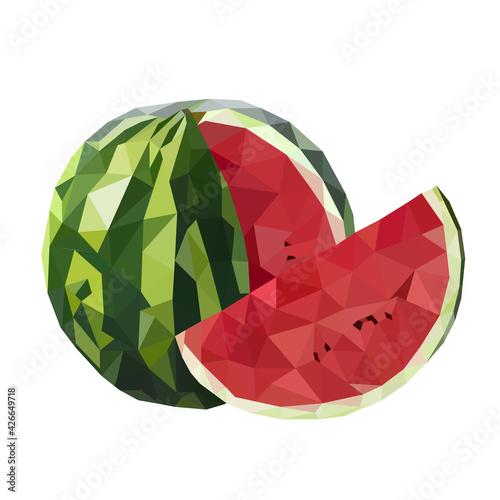 watermelon illustration