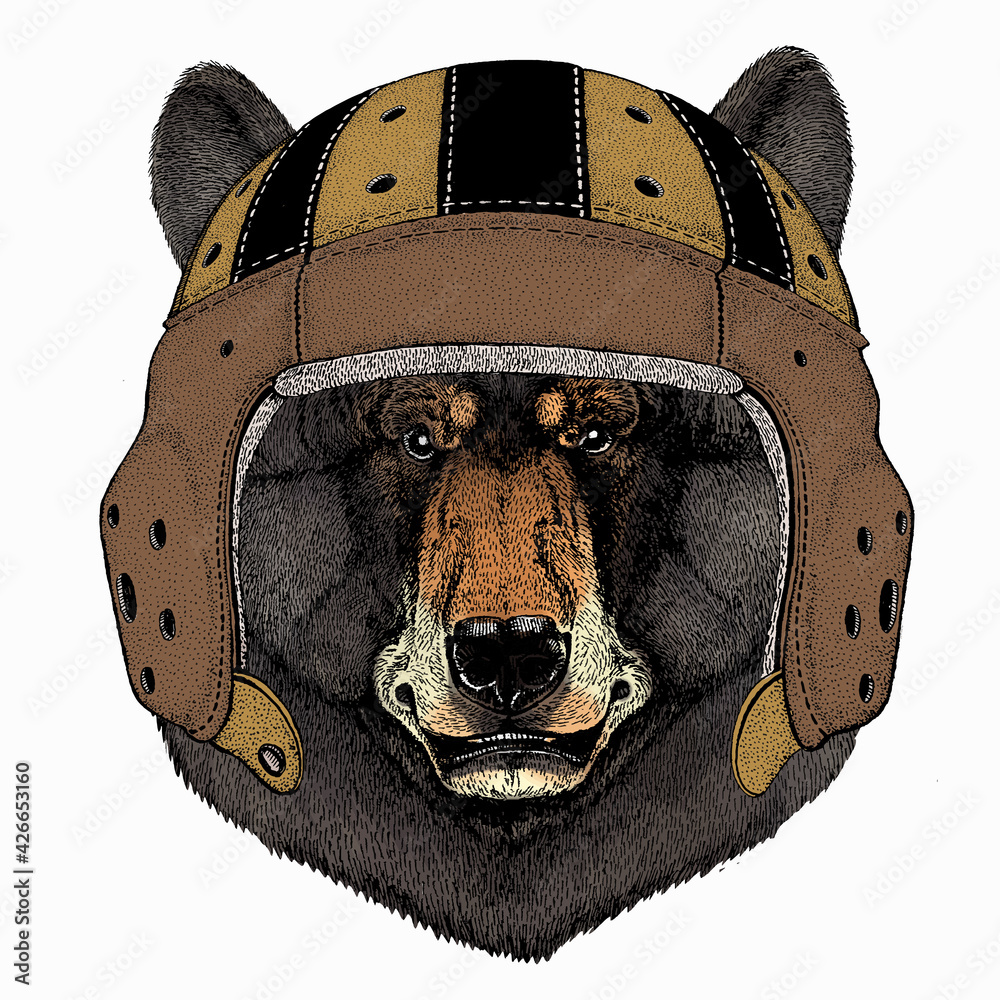 Bear wild animal face. Grizzly cute brown bear head portrait. Animal with  rugby helmet. Retro vintage image. Stock Vector | Adobe Stock