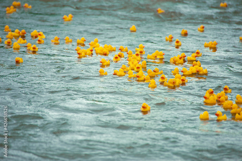 Viele kleine gelbe Gummienten auf einem Fluß photo