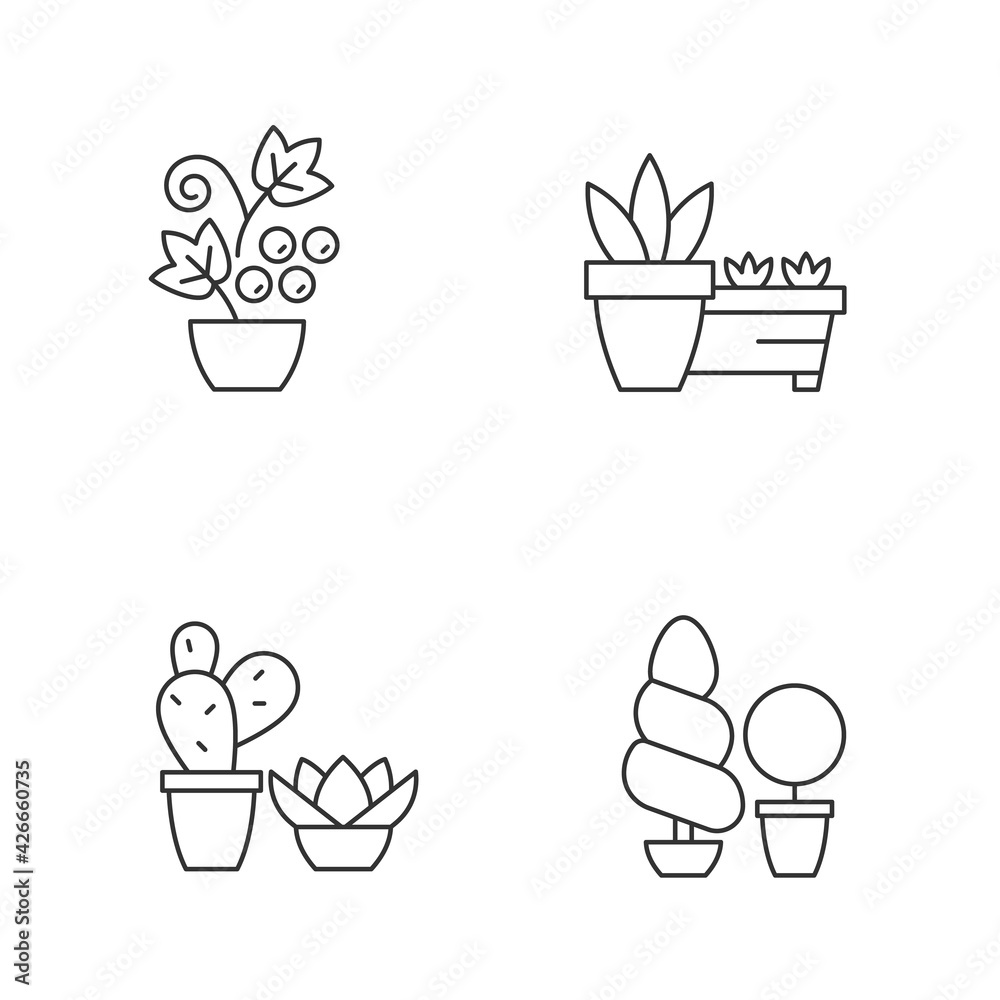 Gardening store categories linear icons set. Succulents and cactus growing in dry and warm climate. Customizable thin line contour symbols. Isolated vector outline illustrations. Editable stroke Gardening store categories linear icons set. Succulents and cactus growing in dry and warm climate. Customizable thin line contour symbols. Isolated vector outline illustrations. Editable stroke