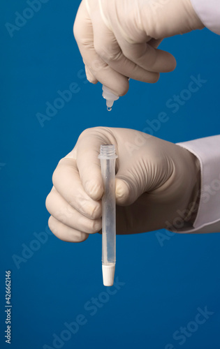 Doctor hands with dispenser and transport vial, process for coronavirus analysis, blue background.