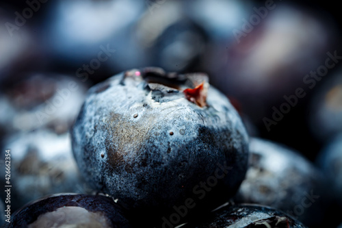 Fresh Blueberry Background. Texture blueberry berries close up. Ripe blueberries with copy space for text. Fresh blueberries scattered. Macro. Selective focus. Horizontal.