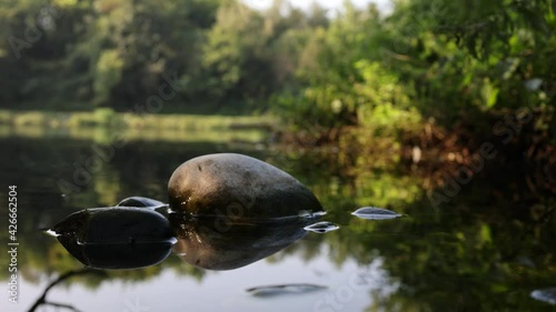 Natural setting of vegetation on the banks of the river adda. photo