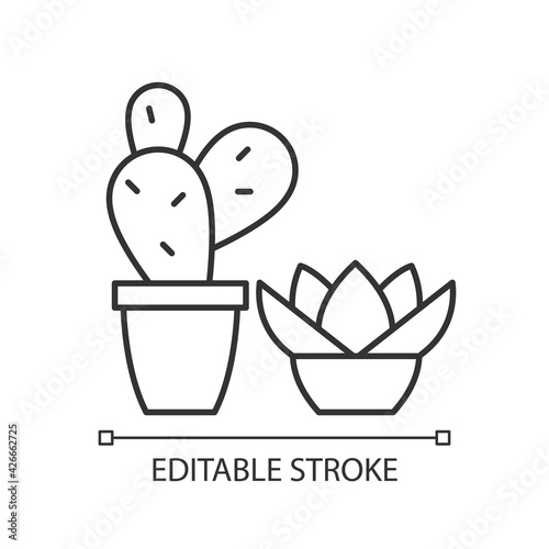 Succulents and cacti linear icon. Special desert plants that grow in warm dry areas. Thin line customizable illustration. Contour symbol. Vector isolated outline drawing. Editable stroke