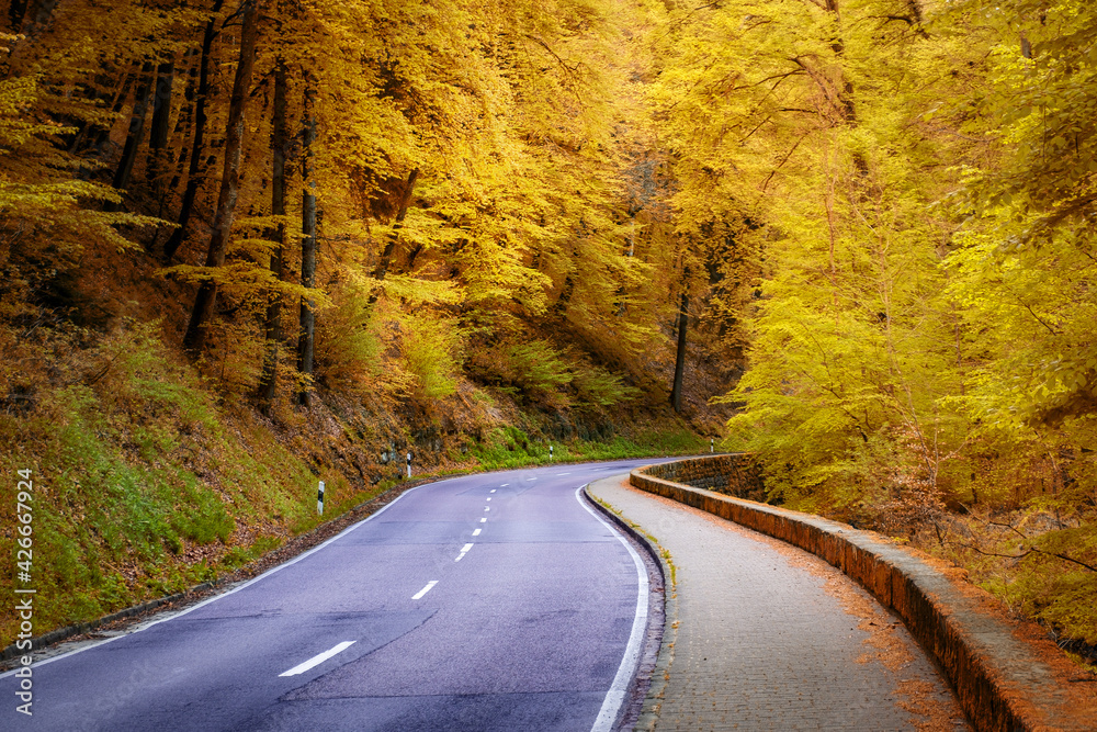 Fototapeta premium Autumn country road in Luxembourg