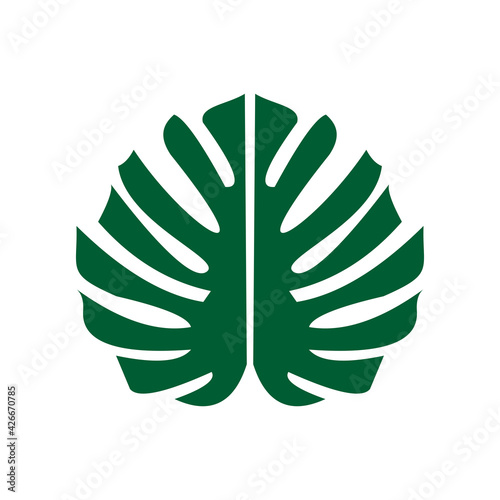 Monstera leaf icon vector design template