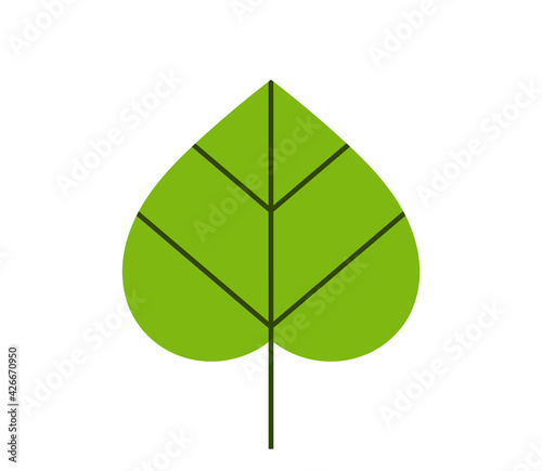 Green leaf icon. Tilia leaf flat design. Vector illustration.