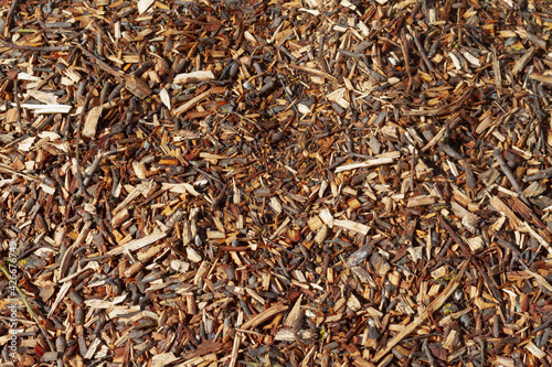 wood chips from finely chopped tree branches after pruning in spring
