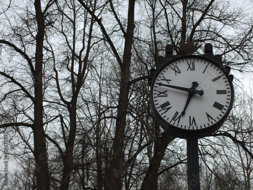 черные круглые уличные часы с белым циферблатом и черными стрелками на фоне серого неба и черных веток 