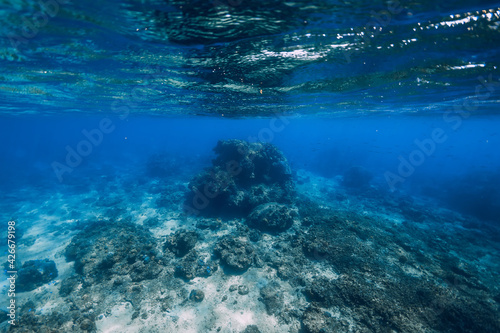 Fototapeta Naklejka Na Ścianę i Meble -  Tropical ocean in underwater. Deep ocean background