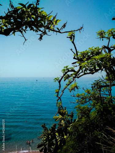 Spanish sea from the height of a cliff overgrown with cacti