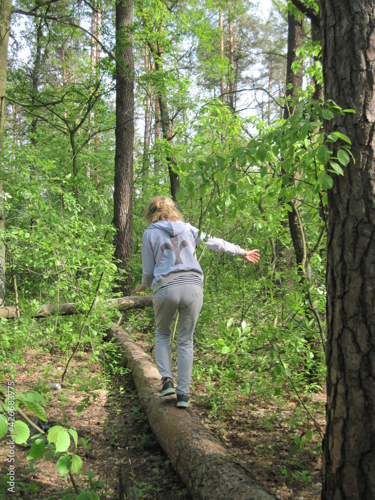 parent and child in park. Back view of walking person outdoors in the green forest on a sunny day. Clear fresh air in the spring woods.