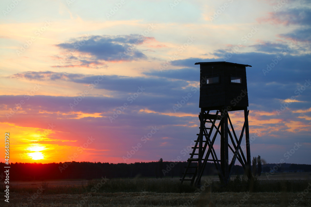 Naklejka premium A pulpit fighter evening serving at sunset 