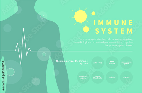 Immune system info graphic vector.  