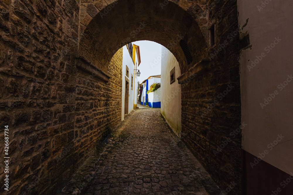 Narrow footpath paved with cobblestone